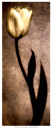 Framed Damask Tulip I Print