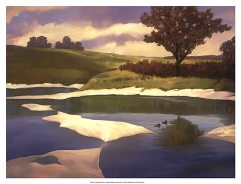 Framed Sandbanks II Print