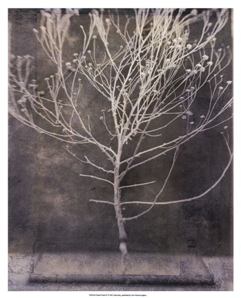 Framed Desert Form IV Print