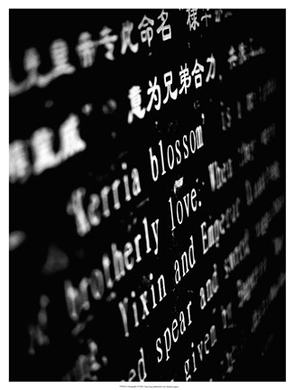 Framed Lithography I Print