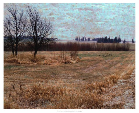 Framed Fields I Print