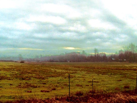 Framed Landscape II Print