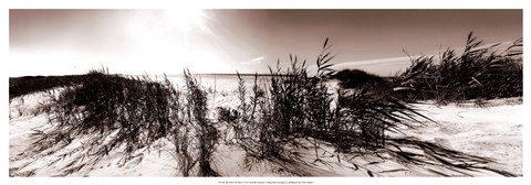 Framed Wind in the Dunes I Print