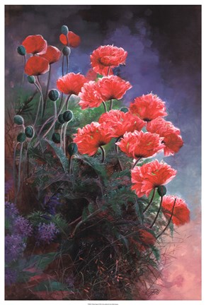 Framed Vibrant Poppies Print