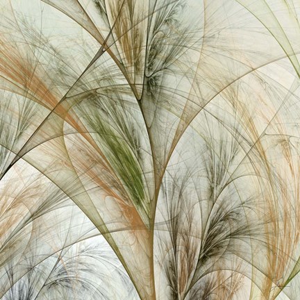 Framed Fractal Grass IV Print