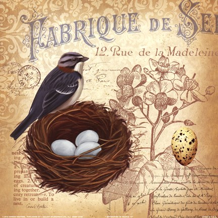 Framed Springtime in France III Print