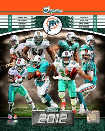 Framed Miami Dolphins 2012 Team Composite Print