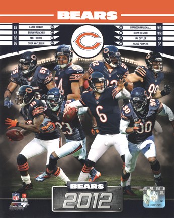 Framed Chicago Bears 2012 Team Composite Print