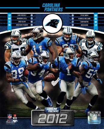 Framed Carolina Panthers 2012 Team Composite Print