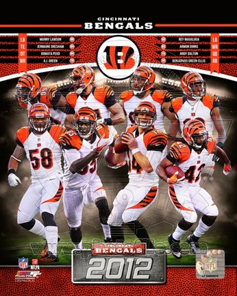 Framed Cincinnati Bengals 2012 Team Composite Print