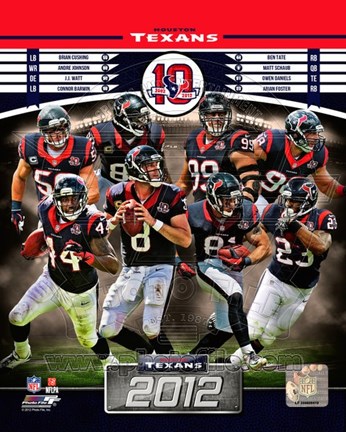 Framed Houston Texans 2012 Team Composite Print