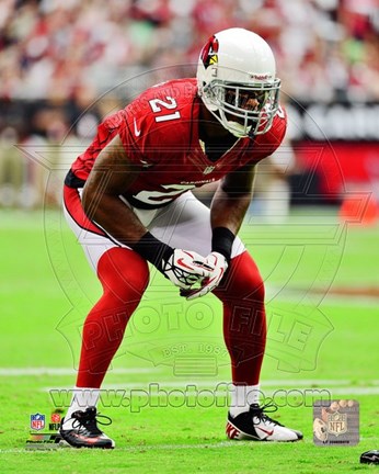 Framed Patrick Peterson 2012 Action Print