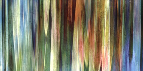 Framed Midas Falls Print