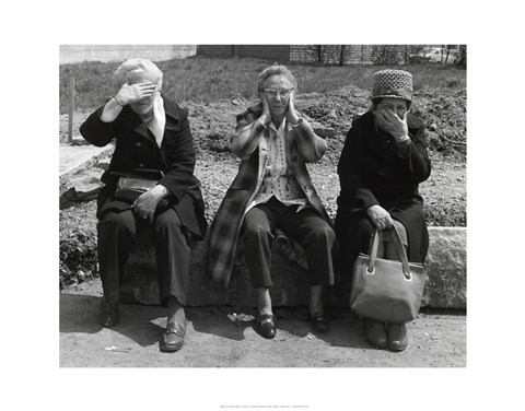 Framed No Evil Print