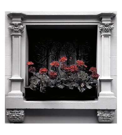 Framed Architectural Detail No. 56 Print