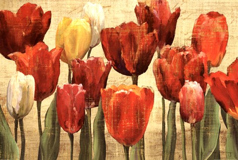 Framed Tulip Fantasy on Cream Print