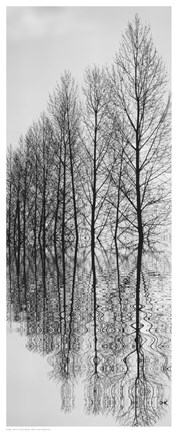 Framed Reflections II Print