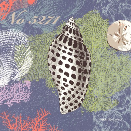 Framed Shells on Blue Print