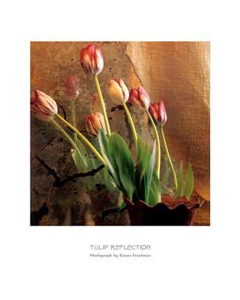 Framed Tulip Reflection Print