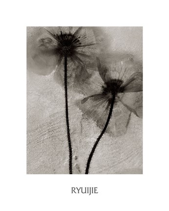 Framed Facing the Sun Print