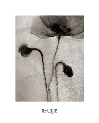 Framed Dancing in Bubbles Print