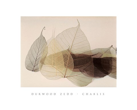 Framed Chablis Print