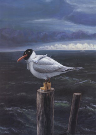 Framed Seagull Print