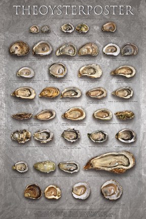Framed Oyster Poster Print
