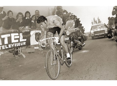 Framed Merckx Dominates Print
