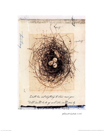 Framed Bird&#39;s Nest Print