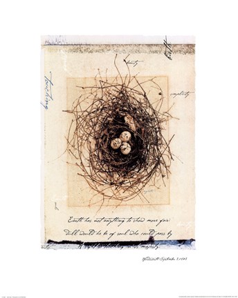 Framed Bird's Nest Print