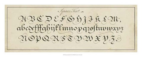 Framed Manuscript Sampler III Print