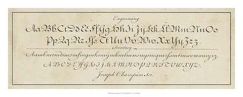 Framed Manuscript Sampler V Print