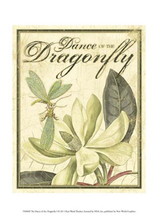 Framed Dance of Dragonfly I Print