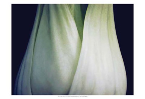 Framed Bok Choy I Print