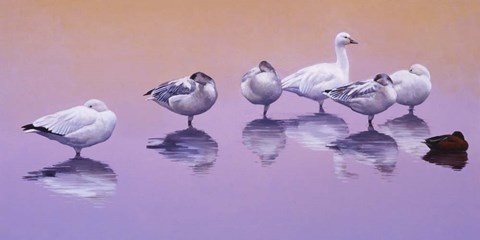 Framed Odd Man Out Print