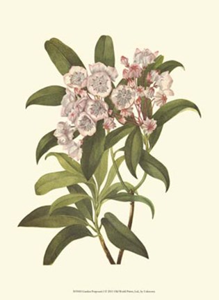 Framed Garden Potpourri I Print