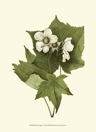 Framed Delicate Foliage I Print