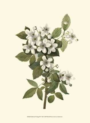 Framed Delicate Foliage III Print