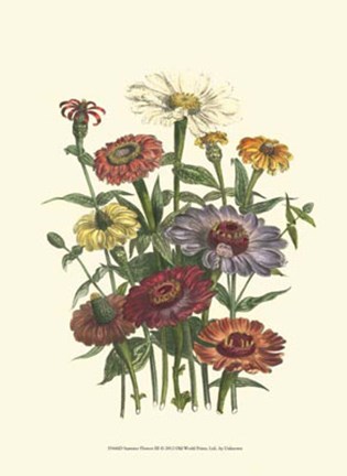 Framed Summer Flowers III Print