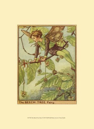 Framed Beech Tree Fairy Print