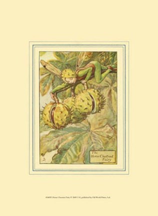 Framed Horse Chestnut Fairy Print