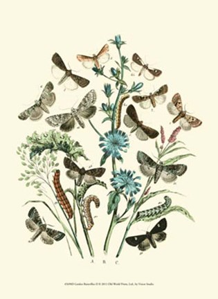 Framed Garden Butterflies II Print