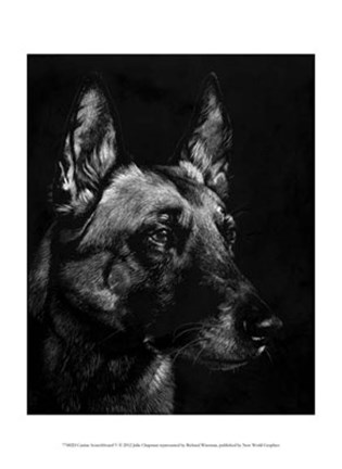 Framed Canine Scratchboard V Print