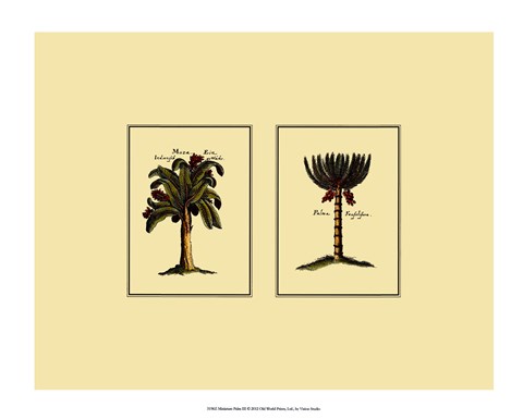 Framed Miniature Palm III Print