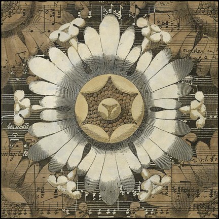 Framed Rosette Detail V Print