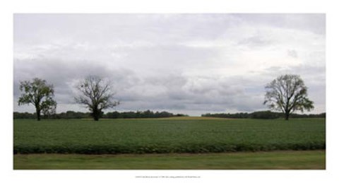 Framed Calm Before The Storm I Print