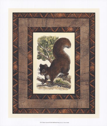 Framed Rustic Squirrel Print