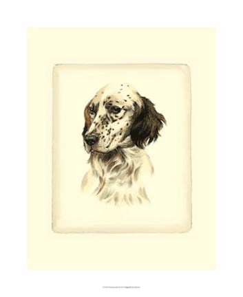 Framed Setter Print