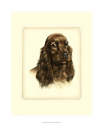 Framed Red Cocker Spaniel Print